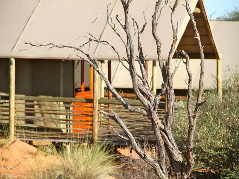 Suricate Tented Lodge Mariental Exterior photo