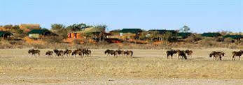 Suricate Tented Lodge Mariental Exterior photo